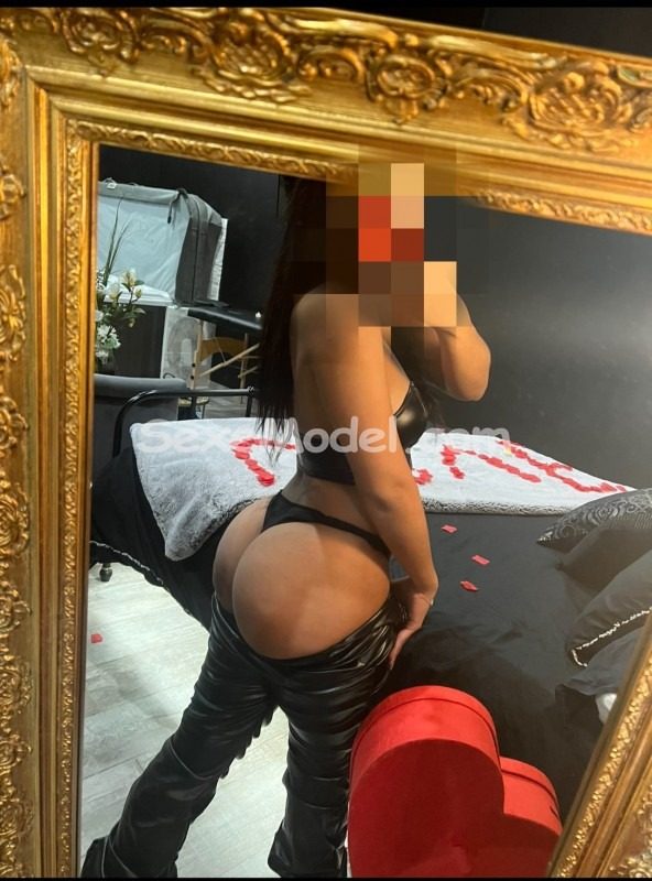 DOMINA GFE photo 2