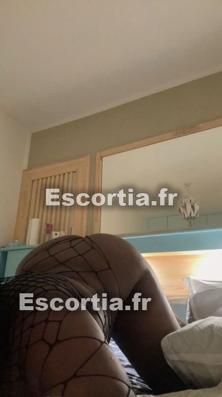BonneChienneWhatsapp photo 2