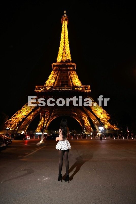 TRANS LUXURY photo 5
