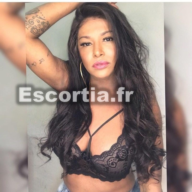 TRANS SUPER LAITEUSE DOMINATON photo 3