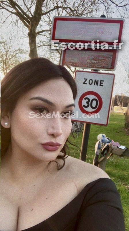 TRANS APPART BEAUJOIRE escort Nantes