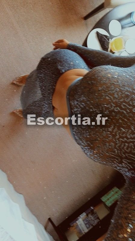 Le chat escort Clermont-ferrand