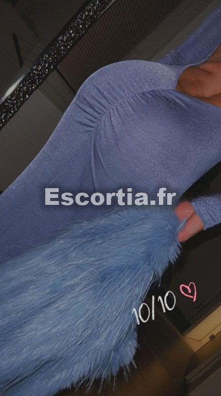Le chat photo 4