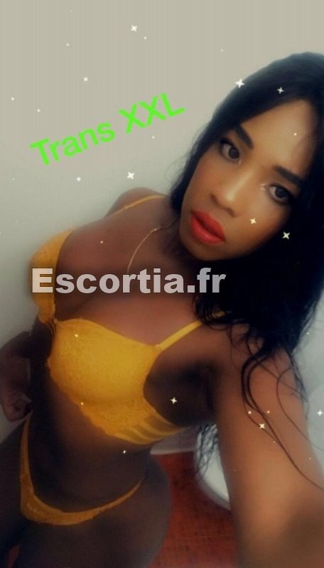 Paula trans XXL escort Narbonne