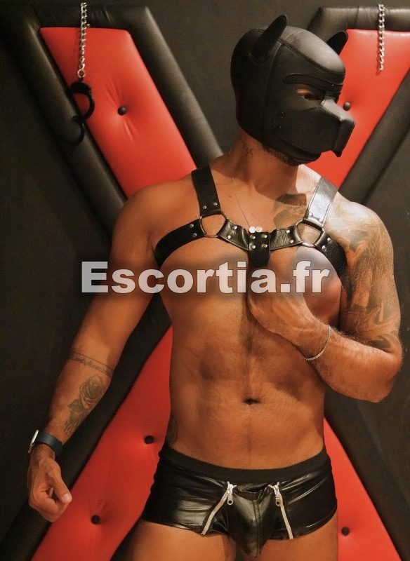 MaleTopXXL photo 4