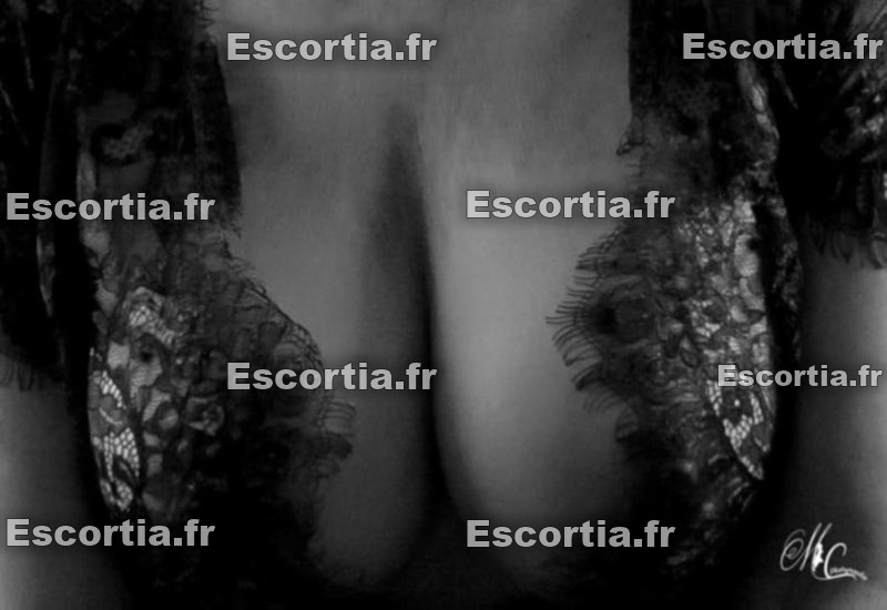 Elegante 59 photo 3