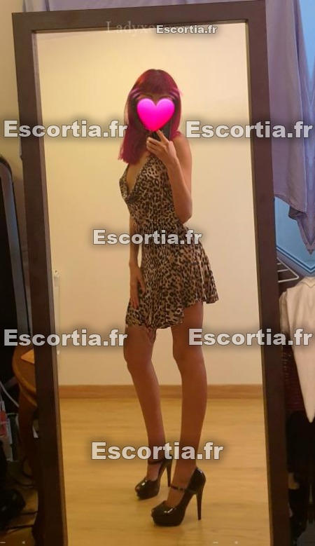 Vesper photo 4